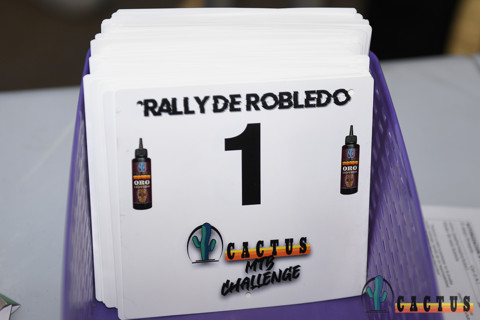 RALLY DE ROBLEDO