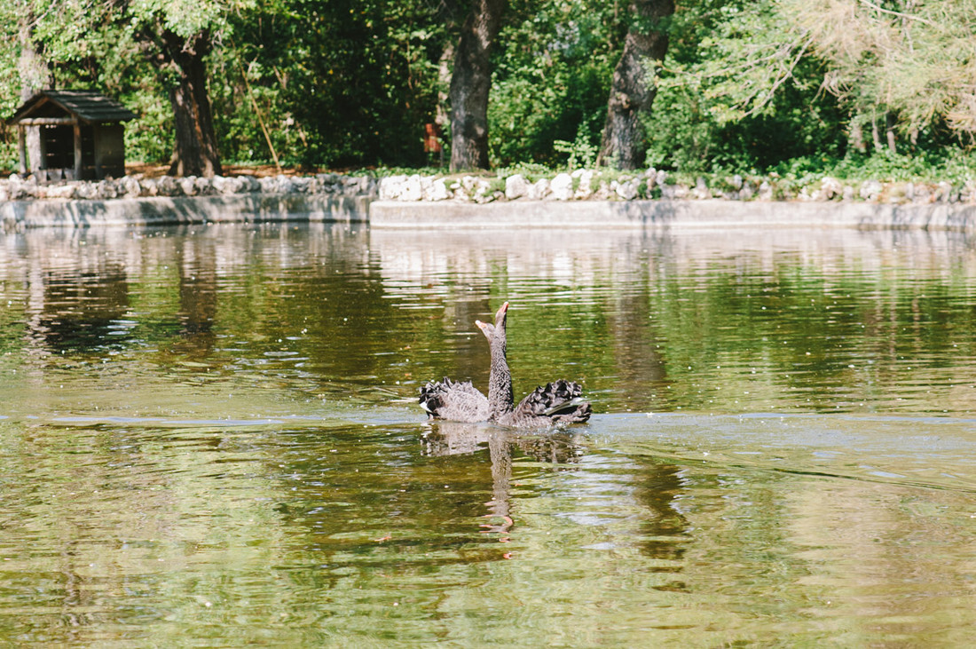 Fotografo_de_bodas_en_Madrid_Sergio_Reyes_Preboda_Parque_del_Capricho_012