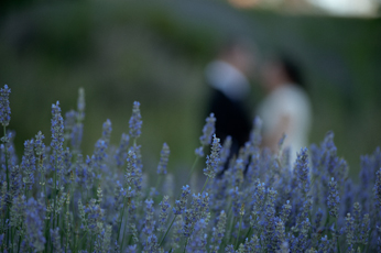 fotografia de bodas, wedding photographer, fotografo madrid, boadilla del monte, las lomas, parroquia de los santos apostoles, pachicu quintana, quino fernandez costura